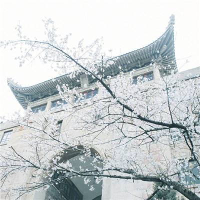 乱世三国录手游(暂未上线)v1.0.0 安卓最新版