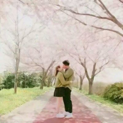 妃十三学园内购破解版下载